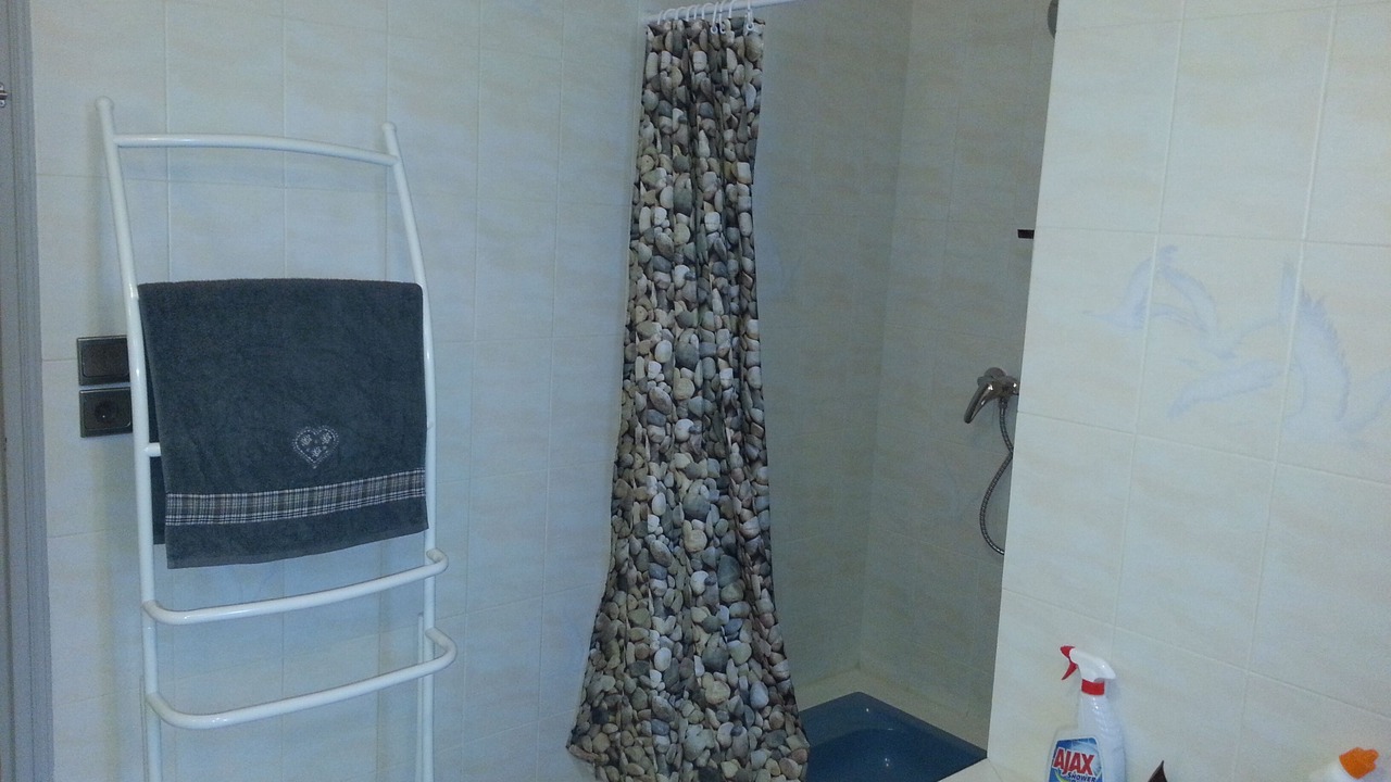 Photo of Bathroom in Nizas