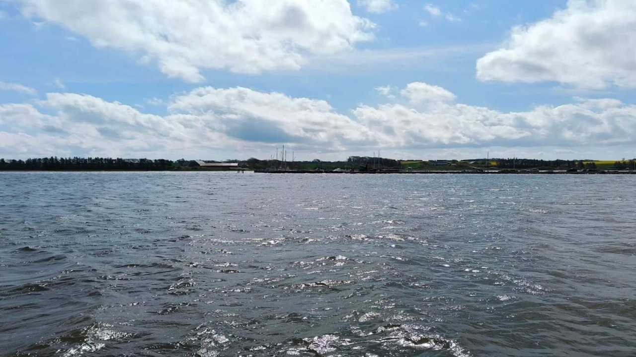 Photo of Others in Hojslev