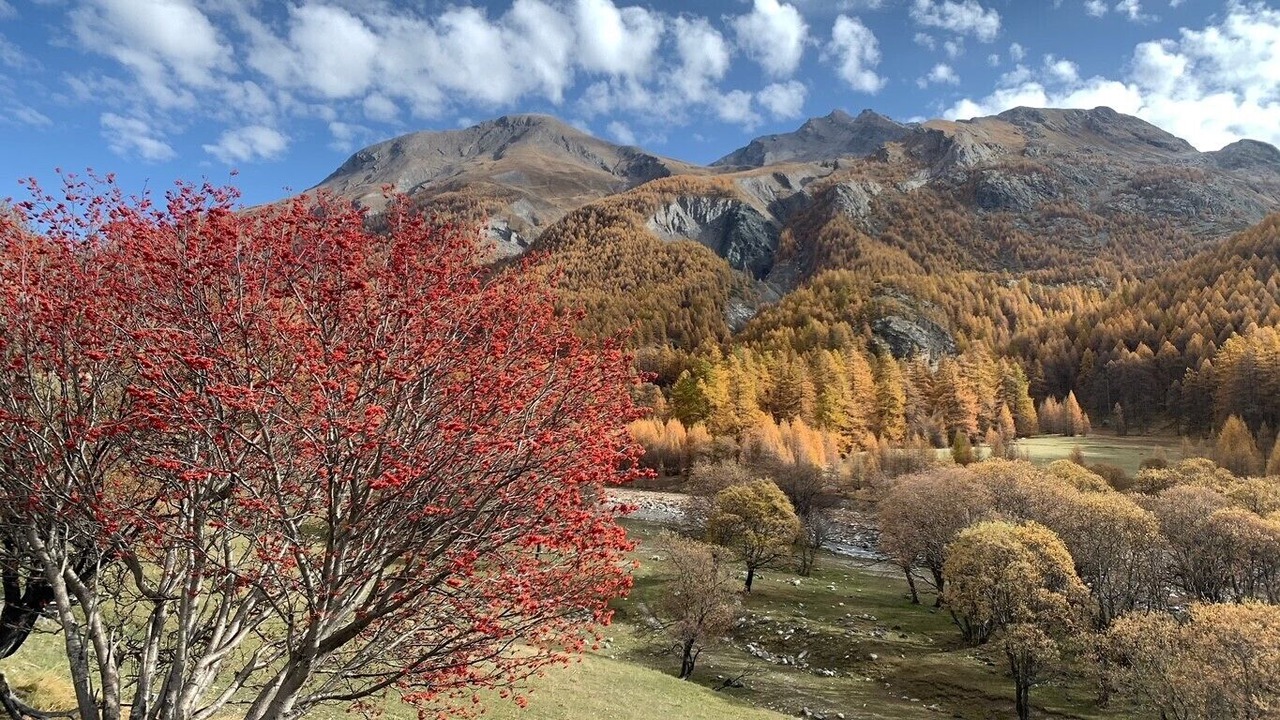 Photo of Outdoor in Barcelonnette