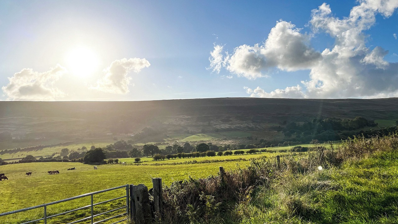 Photo of Others in North York Moors National Park