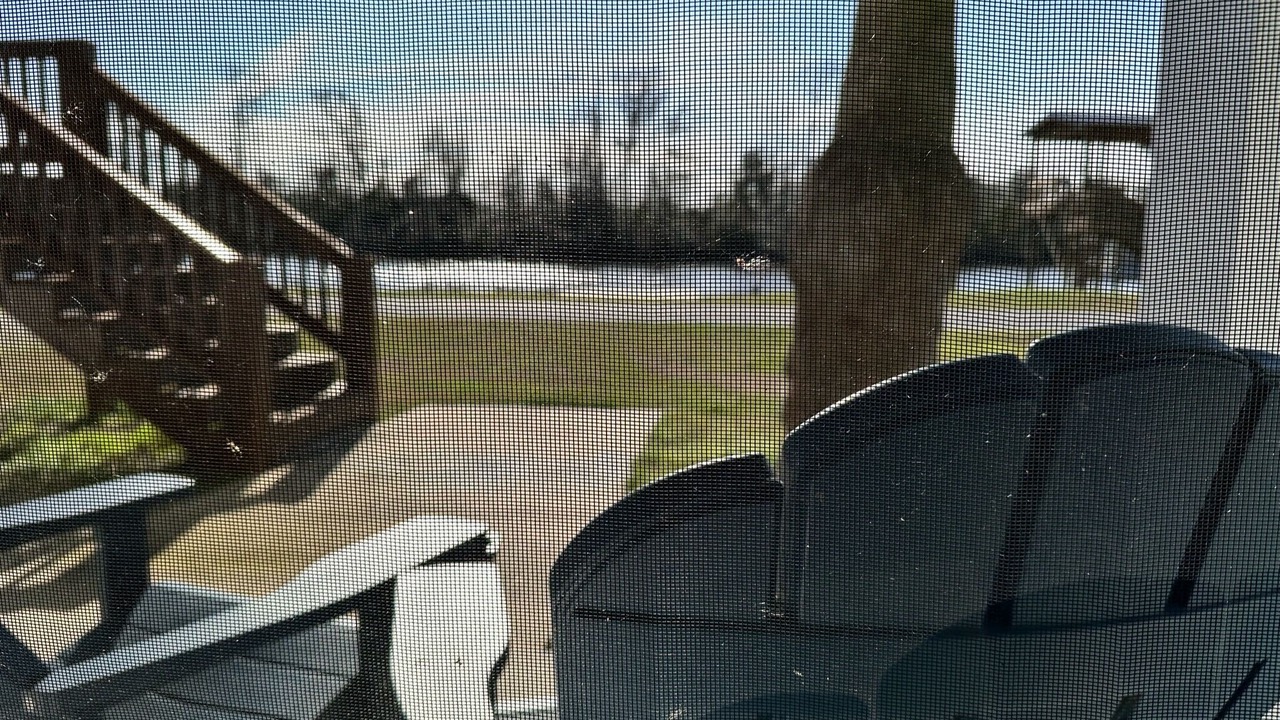 Photo of Outdoor in Moss Bluff