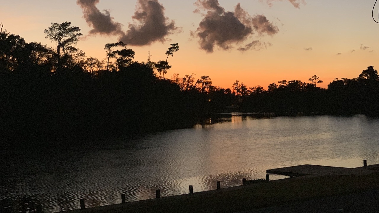 Photo of Outdoor in Moss Bluff