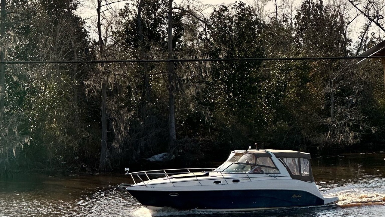 Photo of Others in Moss Bluff