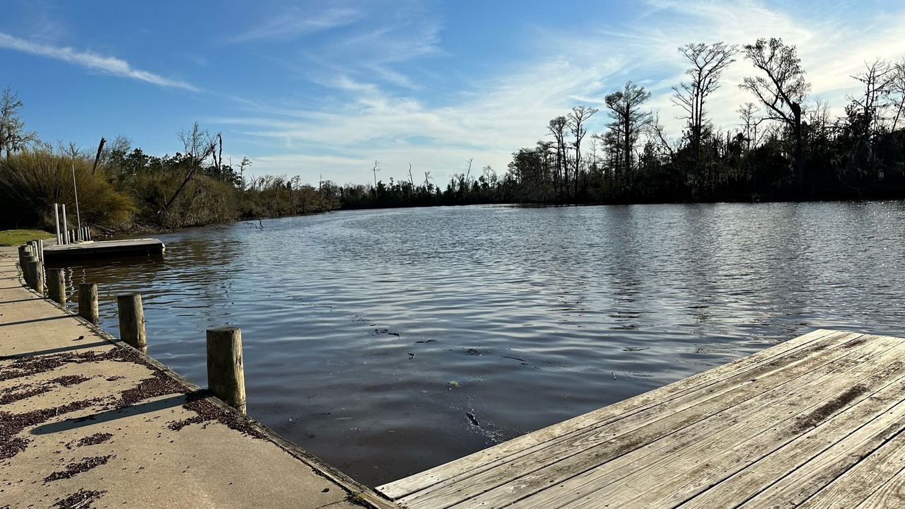 Photo of Others in Moss Bluff
