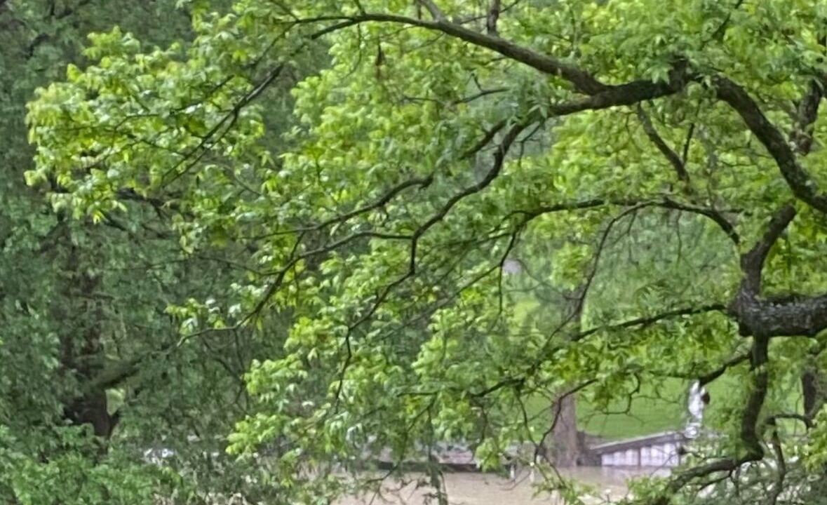 Photo of Outdoor in McQueeney