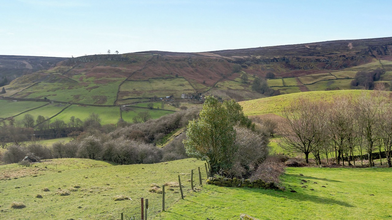 Photo of Others in North York Moors National Park