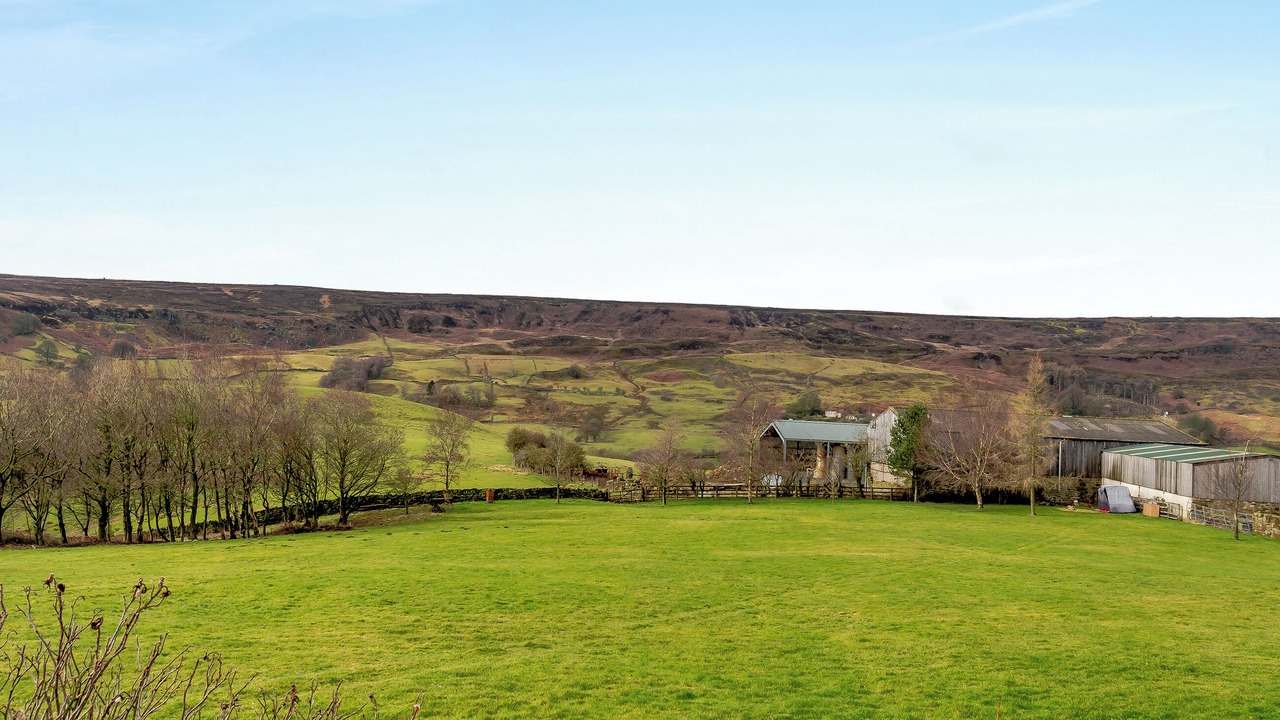 Photo of Others in North York Moors National Park
