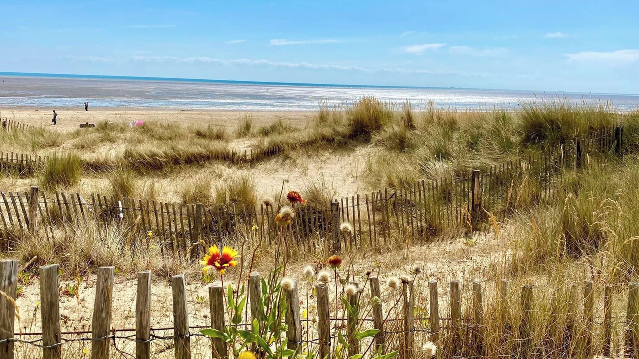 Photo of Others in New Romney