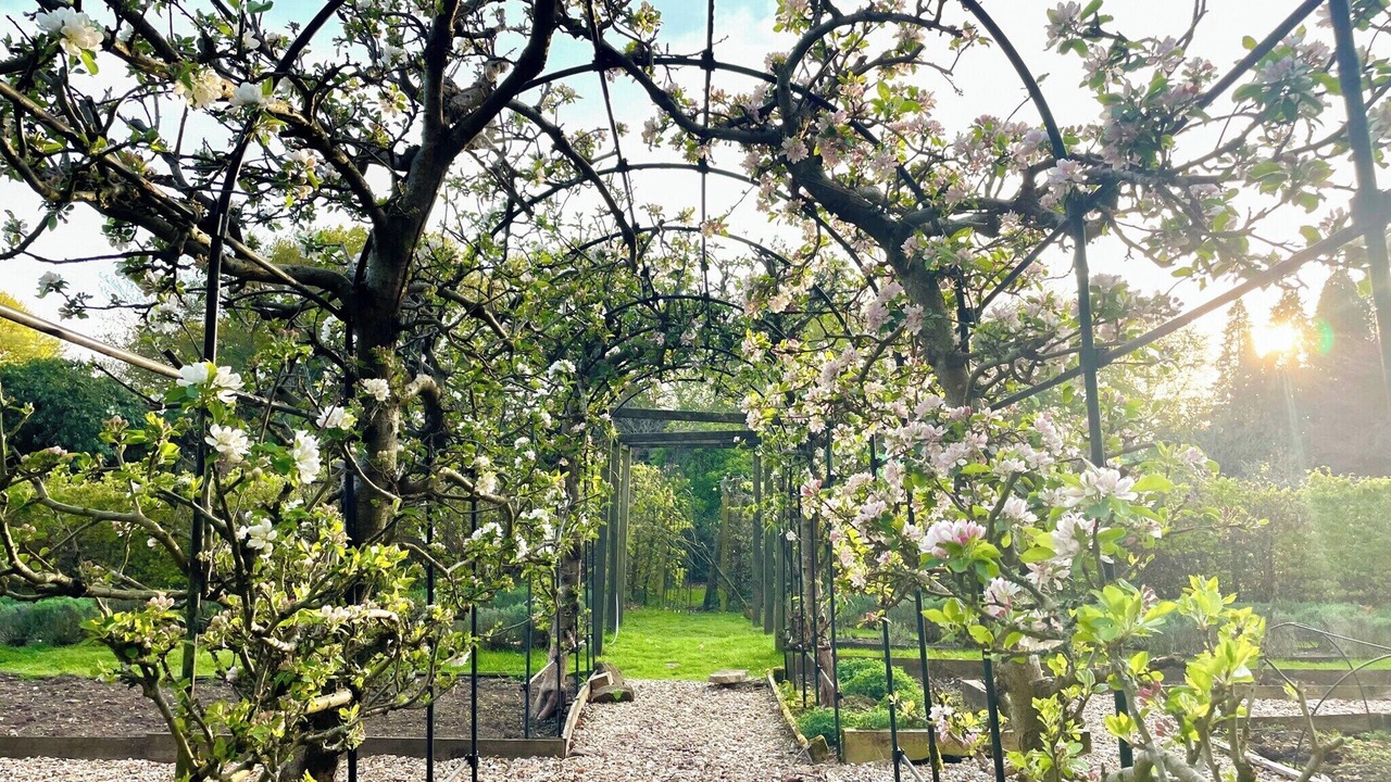 Photo of Outdoor in Liphook