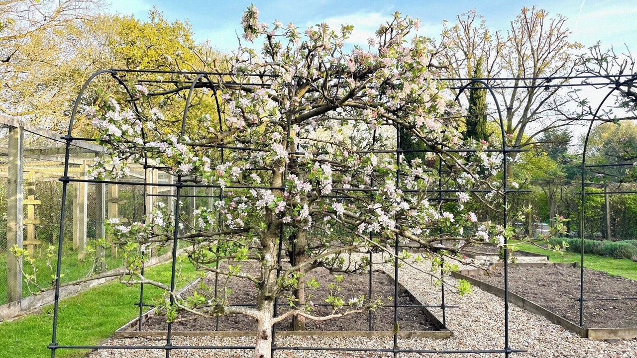 Photo of Outdoor in Liphook