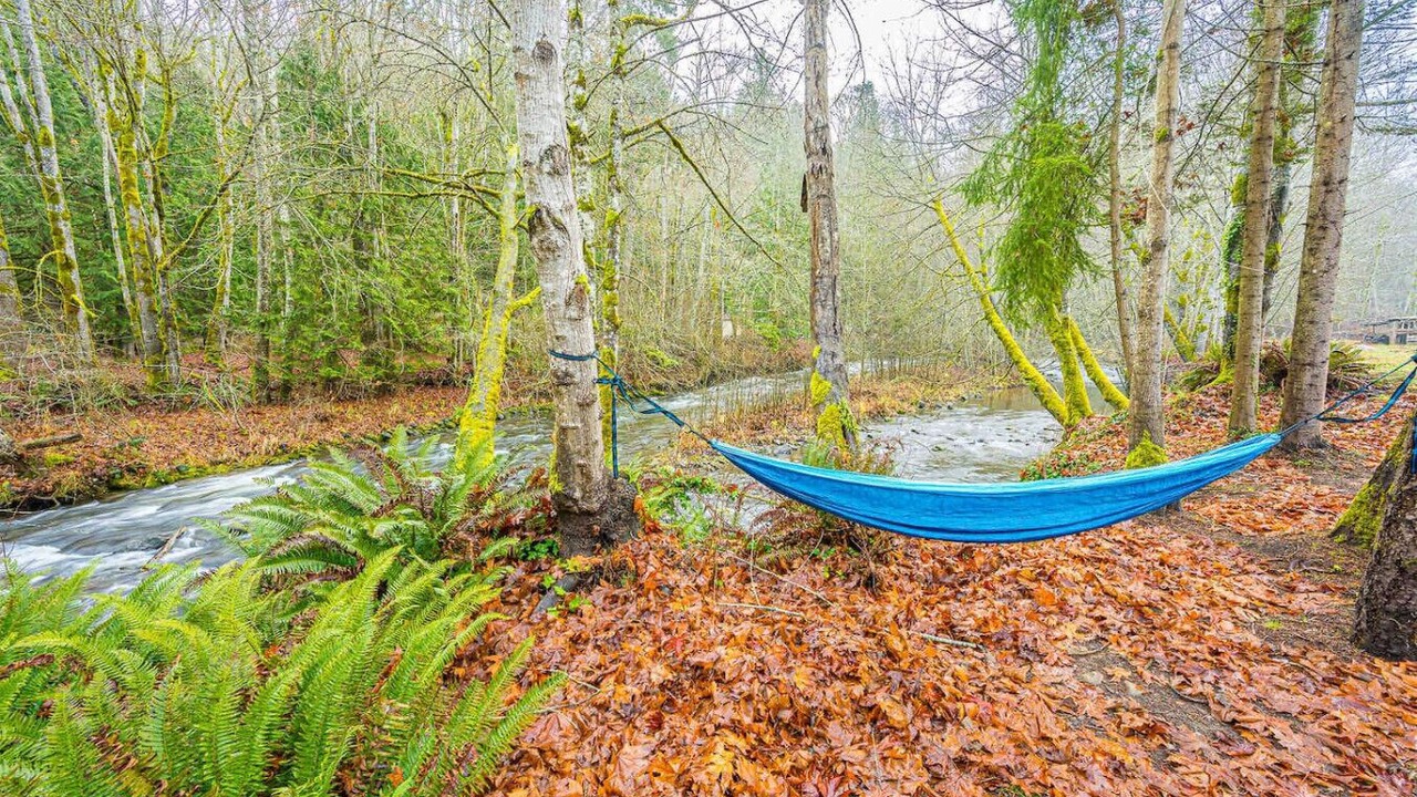 Photo of Others in Port Angeles East