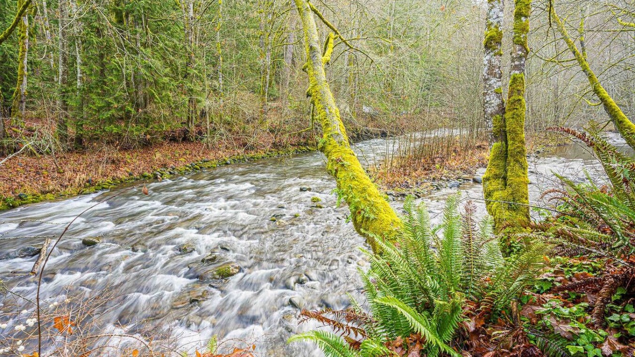 Photo of Others in Port Angeles East