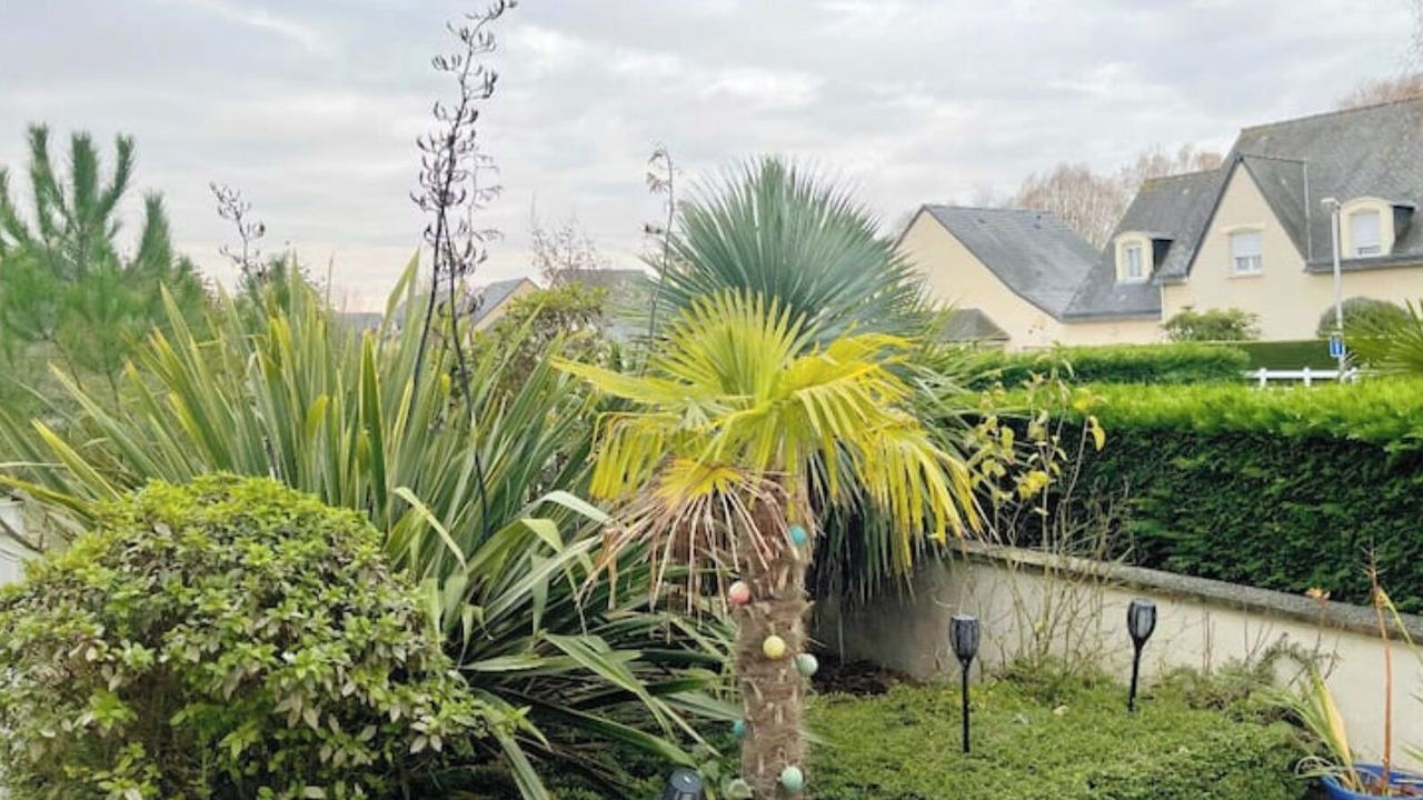Photo of Outdoor in Cabourg
