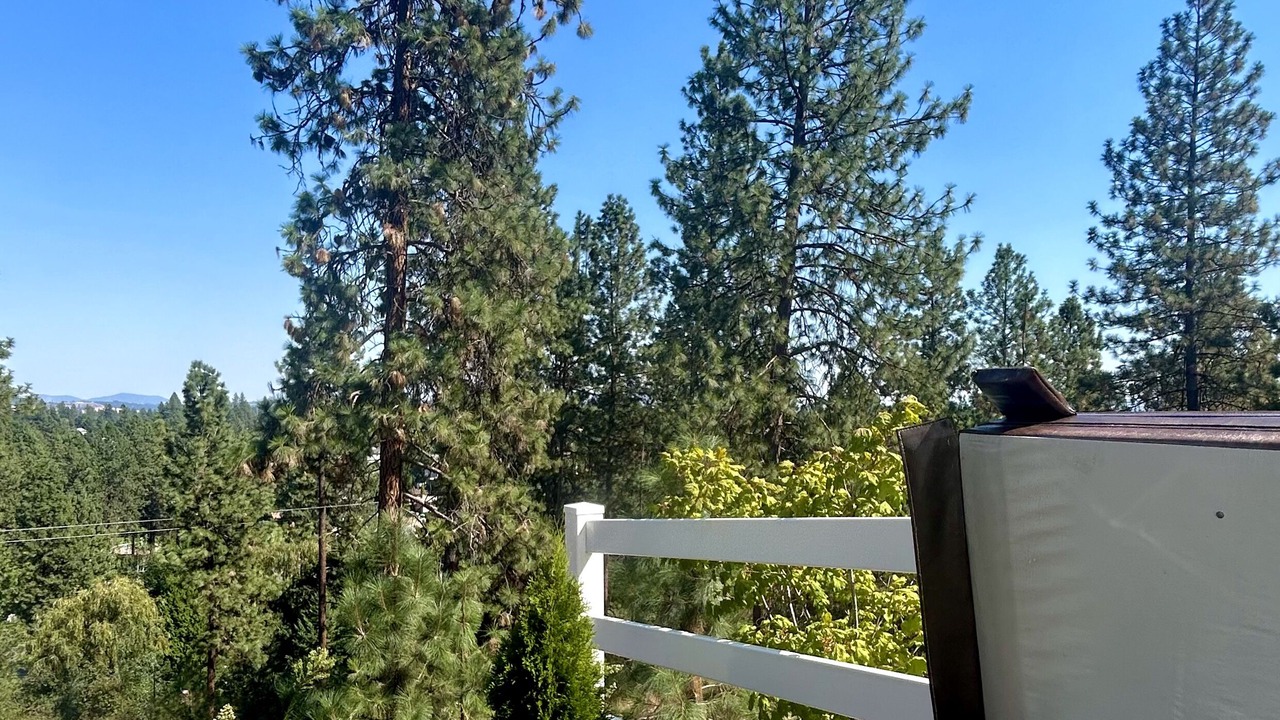 Photo of Outdoor in Spokane