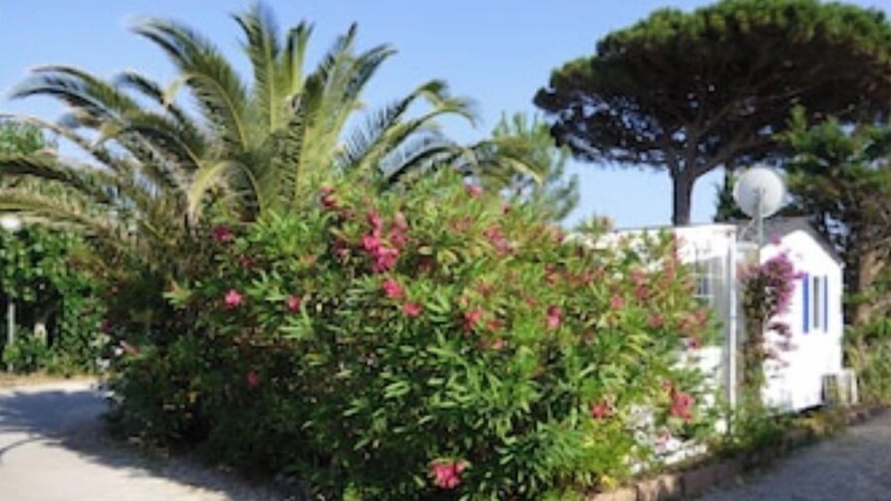 Photo of Outdoor in Ramatuelle