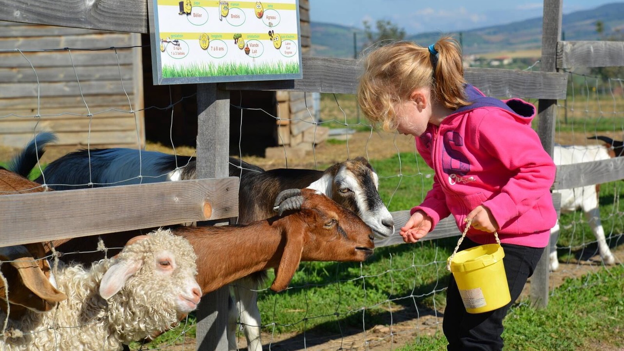 Photo of Outdoor in Montpeyroux