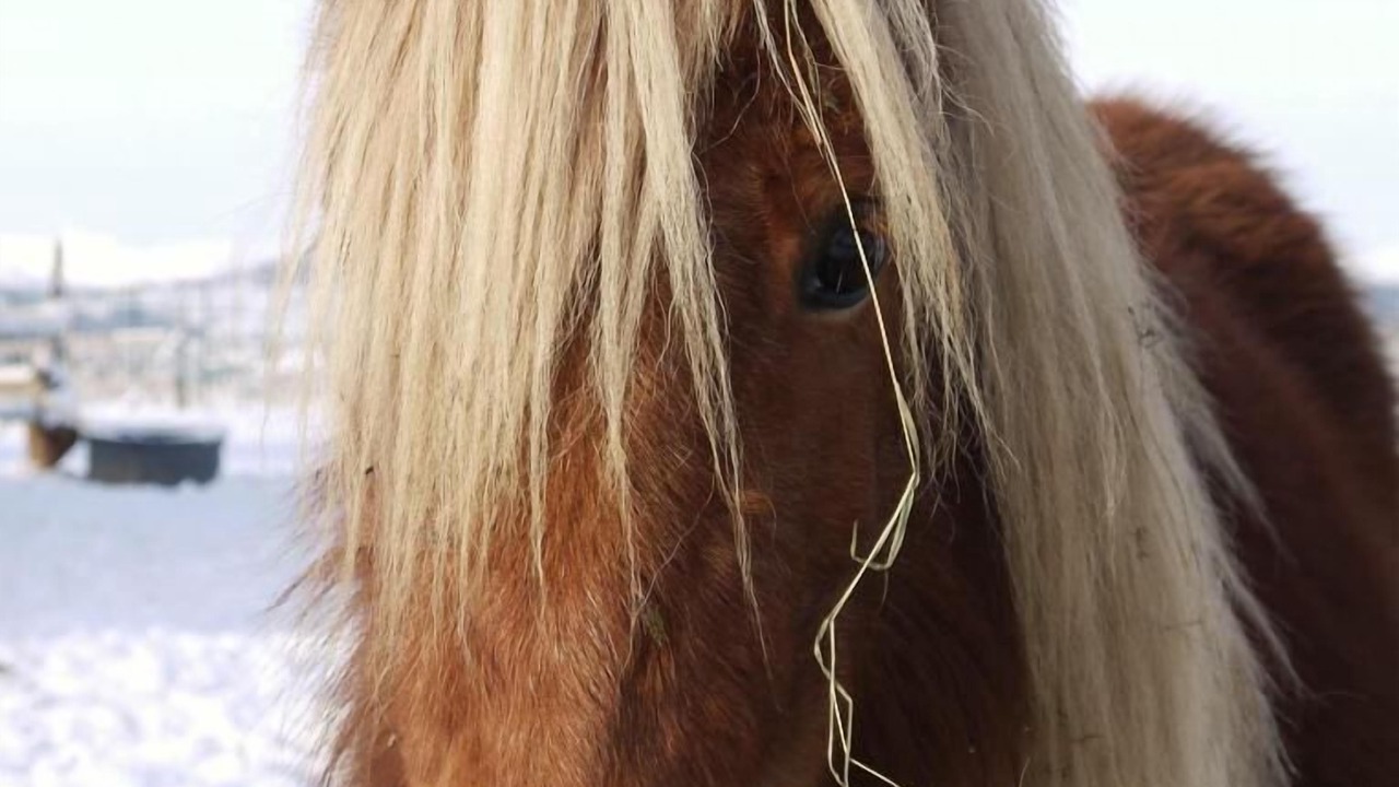 Photo of Others in Montpeyroux