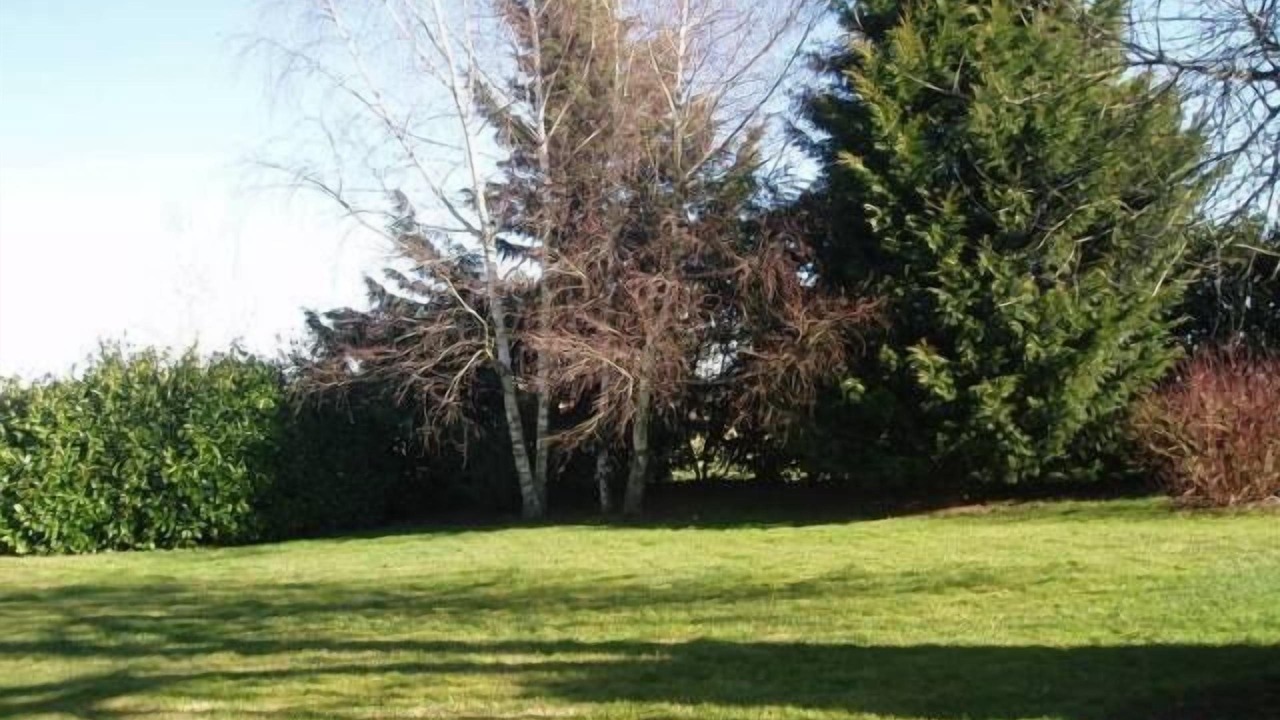 Photo of Outdoor in Neuf-Eglise