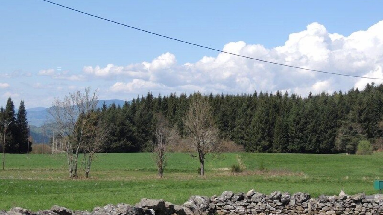 Photo of Others in Ambert Livradois Forez