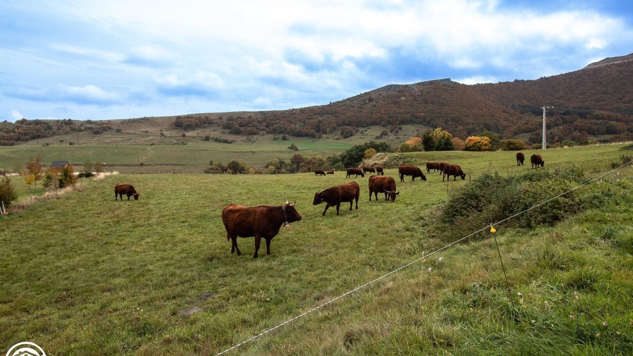 Photo of Others in Chambon-sur-Lac