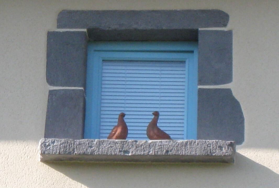 Photo of Outdoor in Riom