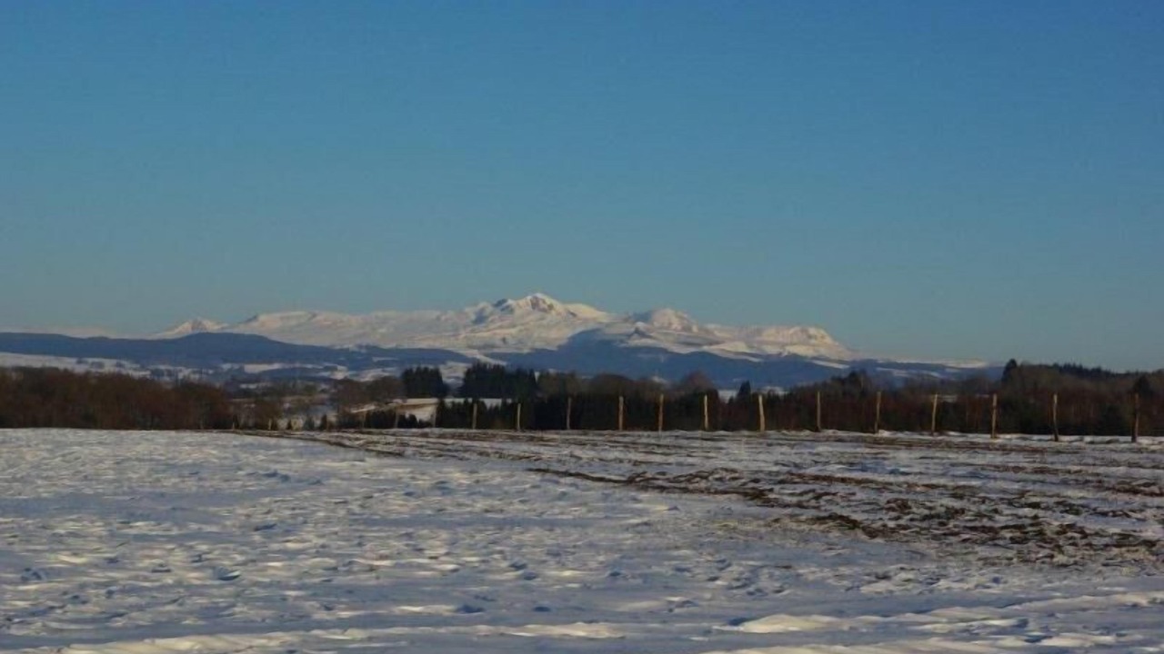 Photo of Others in Singles