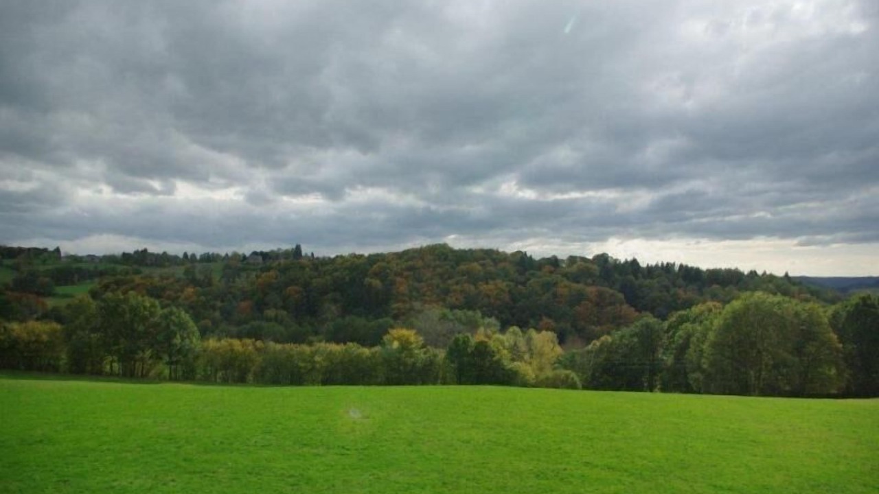 Photo of Others in Singles