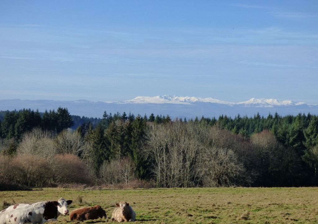 Photo of Others in Auzelles