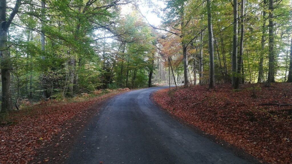 Photo of Others in Auzelles