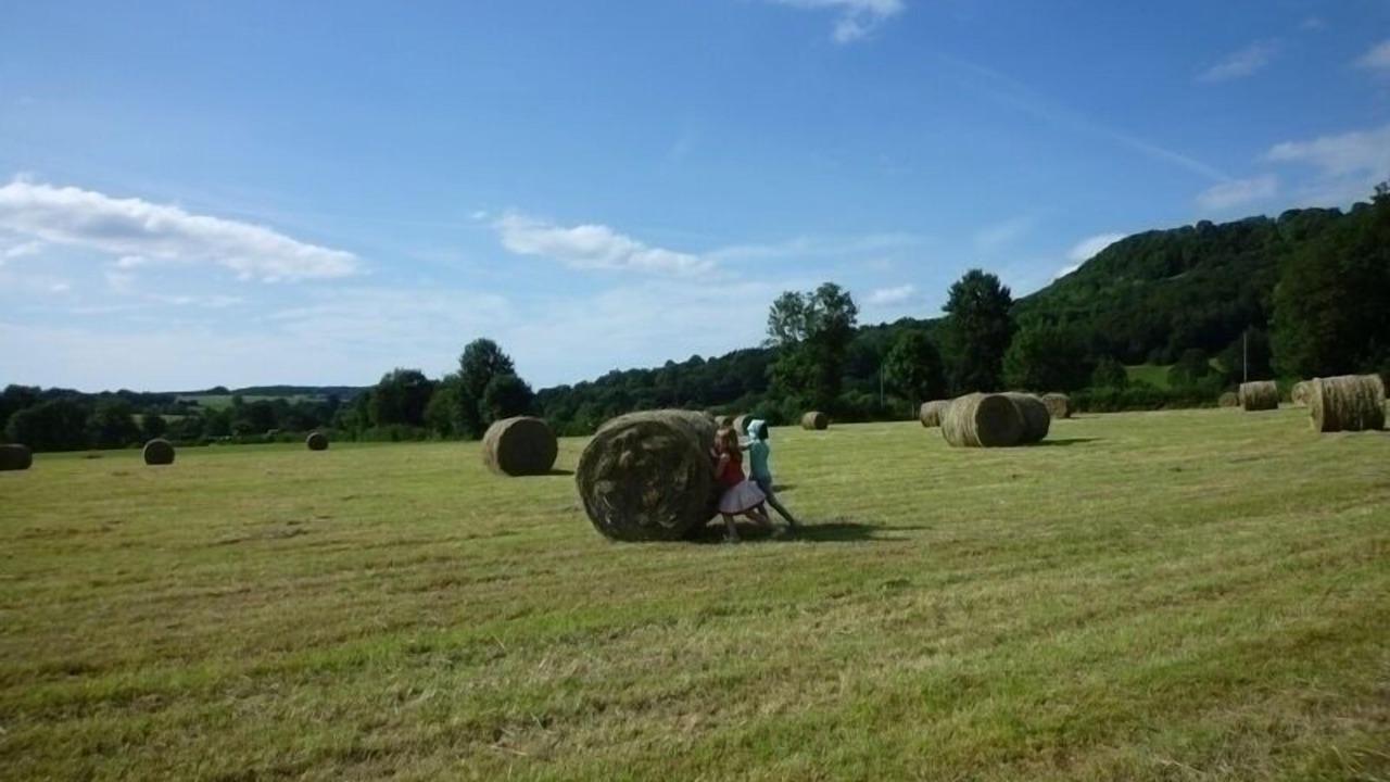 Photo of Others in Puy-Saint-Gulmier