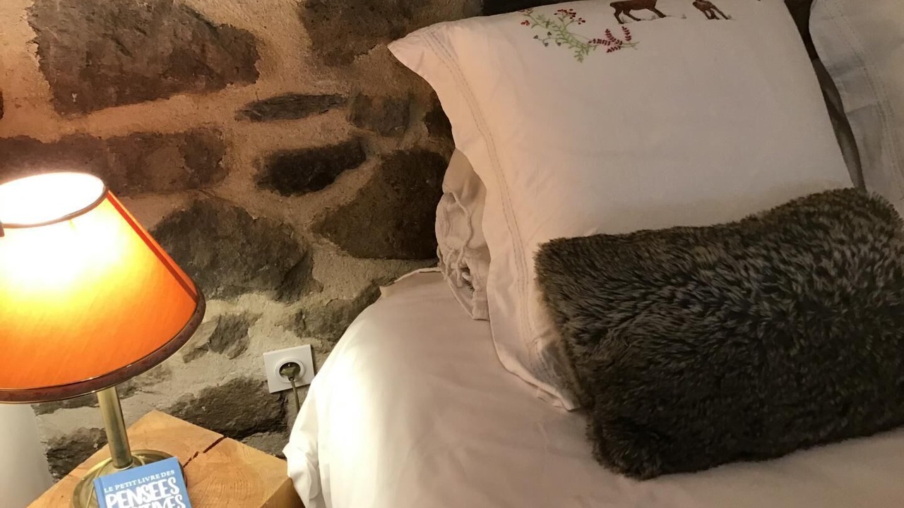 Photo of Bedroom in Chambon-sur-Lac
