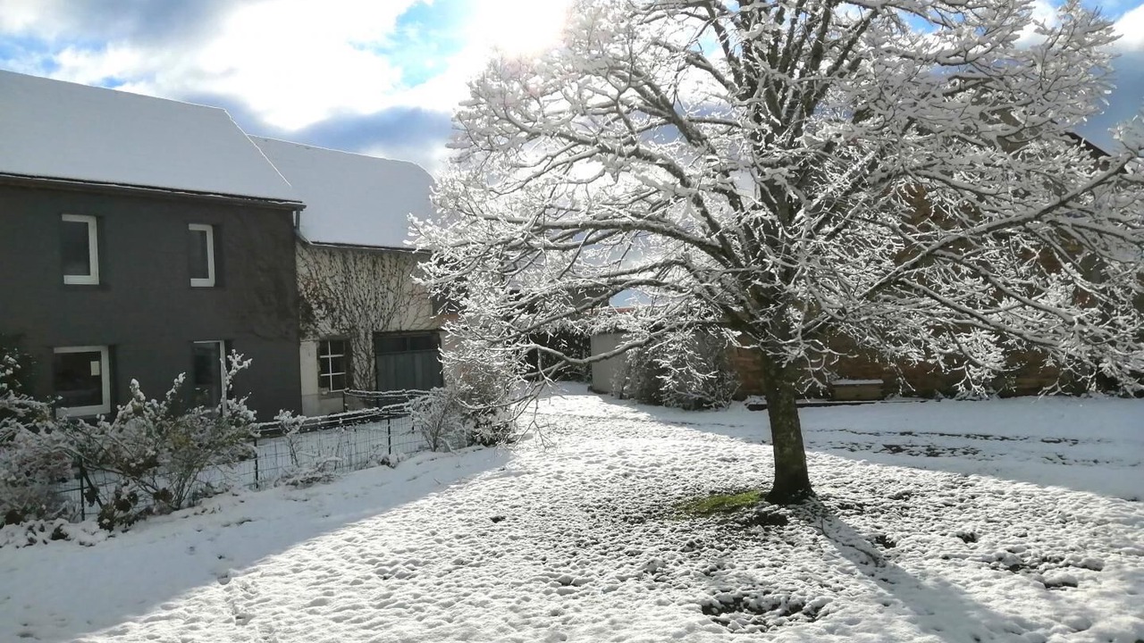 Photo of Outdoor in Chapdes-Beaufort