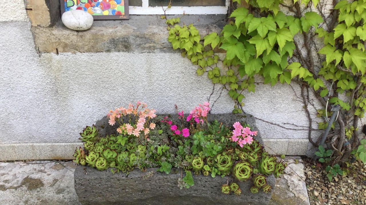 Photo of Outdoor in Chapdes-Beaufort