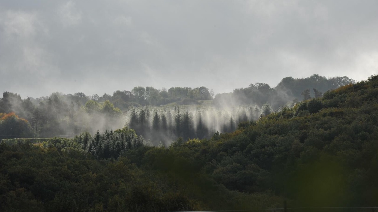 Photo of Others in Chapdes-Beaufort