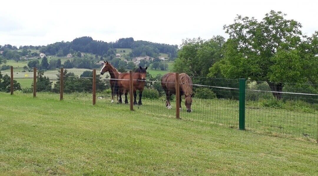 Photo of Others in Ceilloux