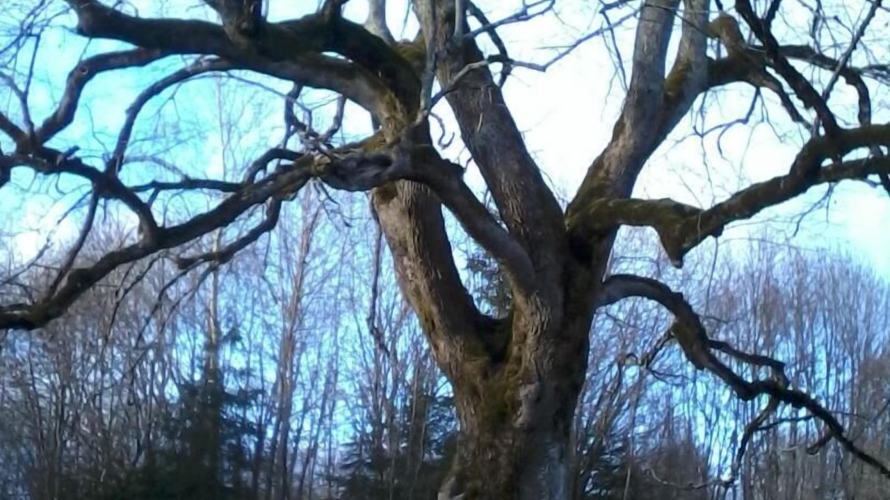 Photo of Outdoor in Larodde