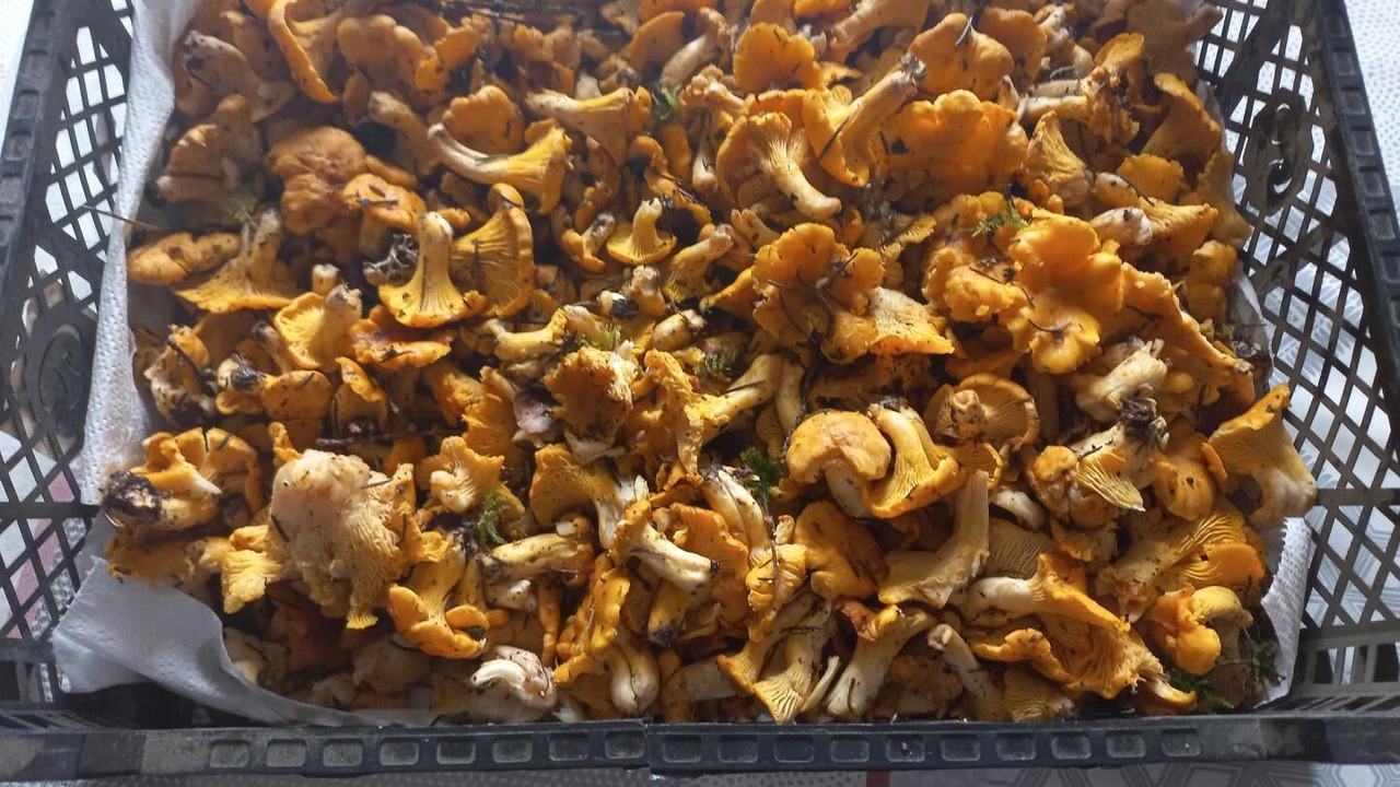 Photo of Others in Larodde