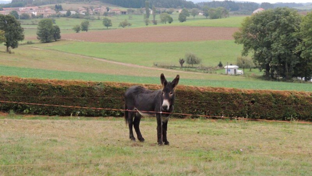 Photo of Others in Saint-Jean-Saint-Gervais