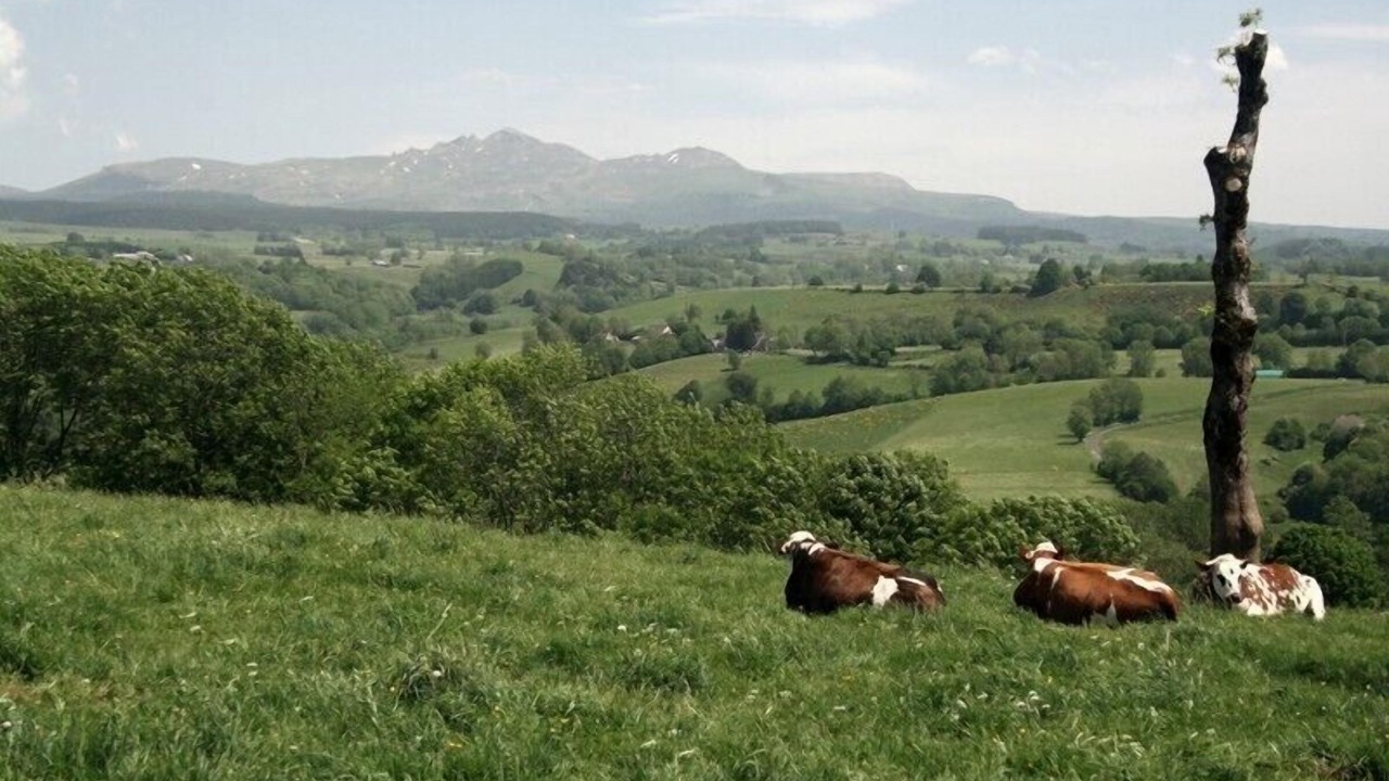 Photo of Outdoor in Tauves