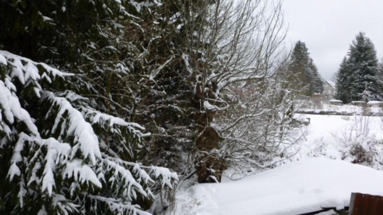 Photo of Outdoor in Nebouzat