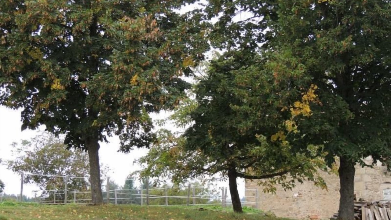Photo of Outdoor in Saint-Jean-Saint-Gervais