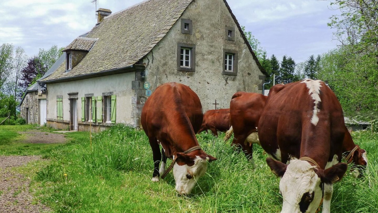 Photo of Others in Tauves