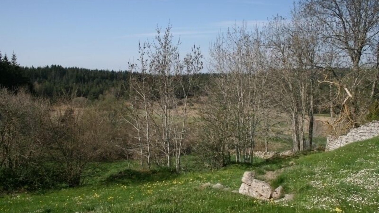 Photo of Outdoor in La Chaulme