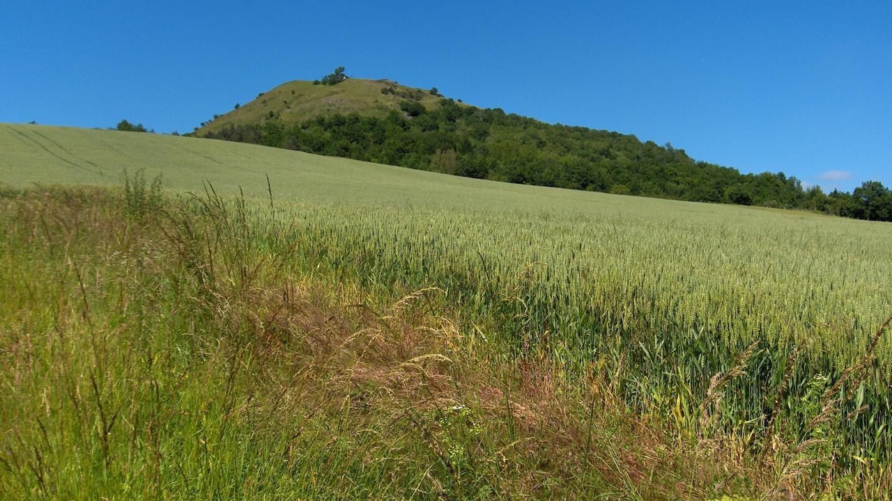 Photo of Others in Mirefleurs