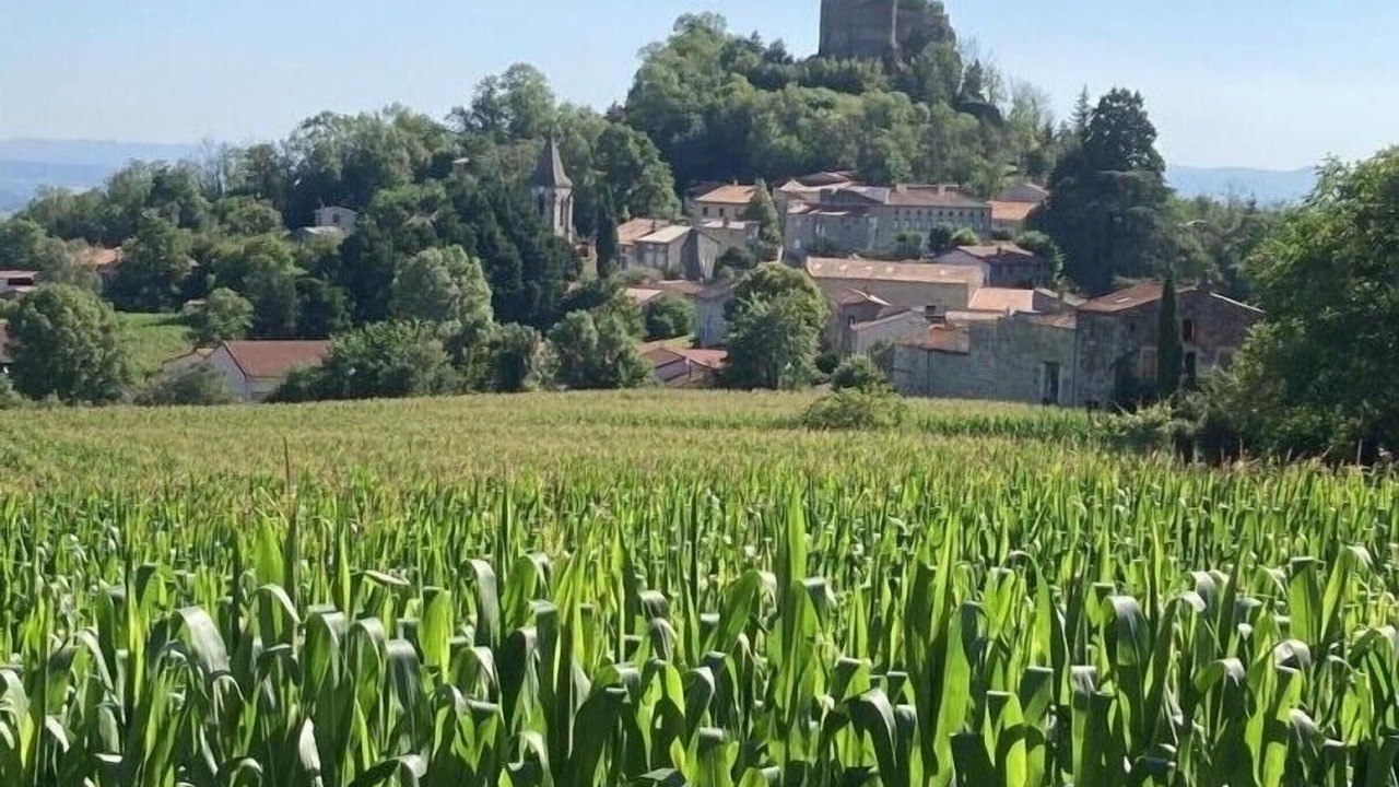 Photo of Outdoor in Mirefleurs