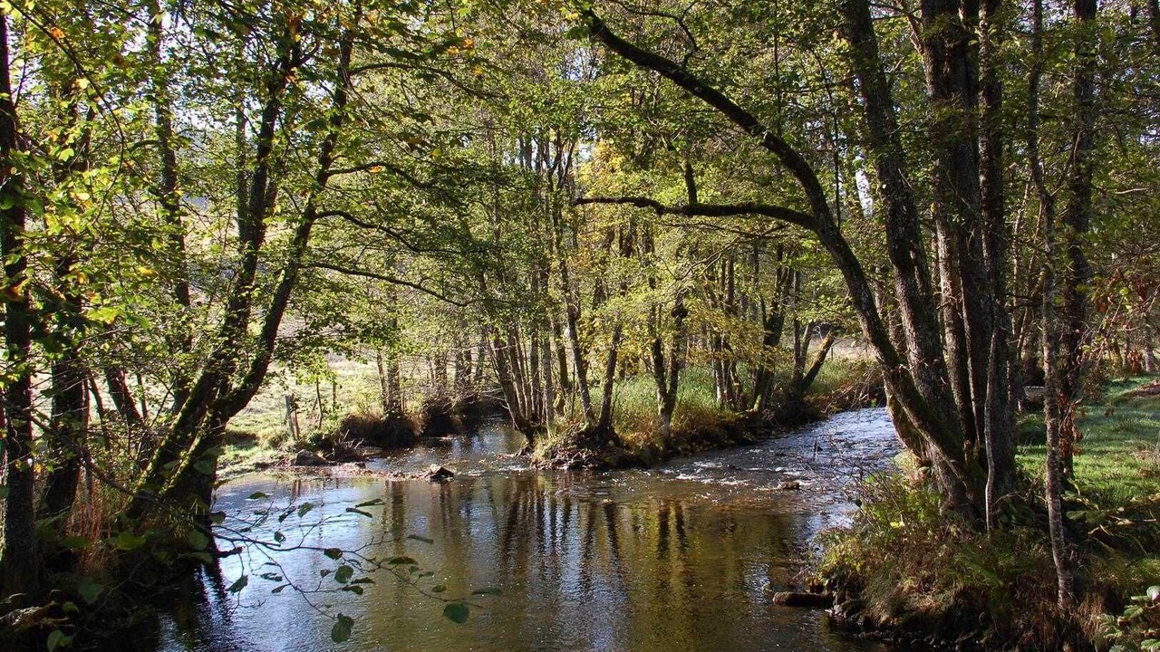 Photo of Others in Saint-Romain