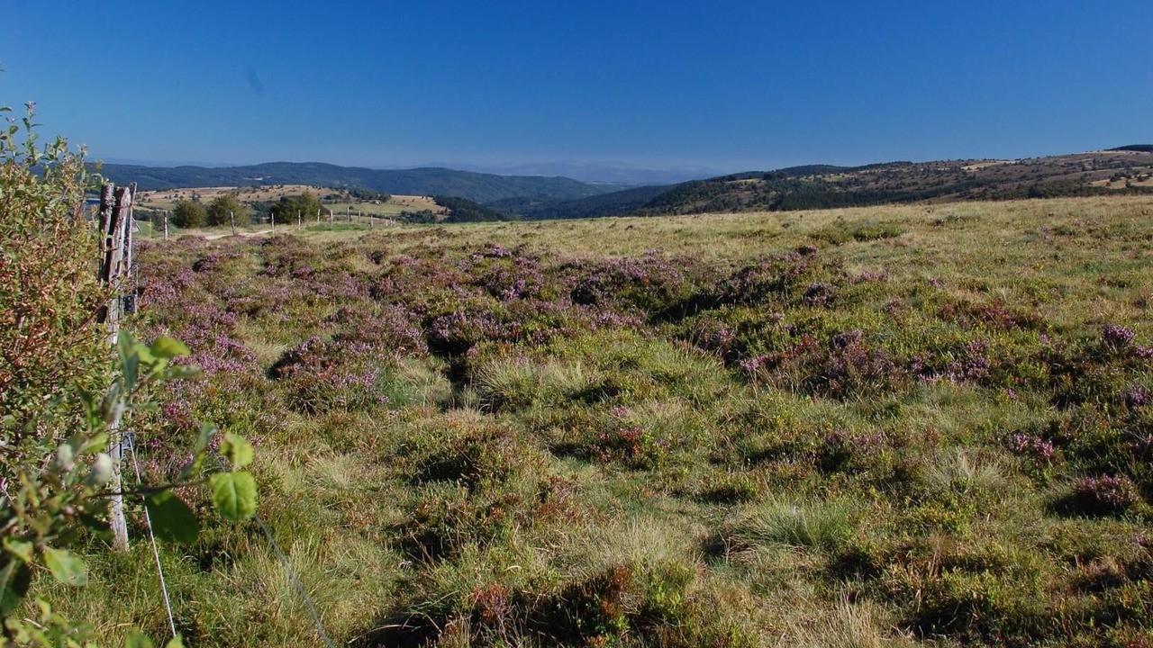 Photo of Others in Saint-Romain