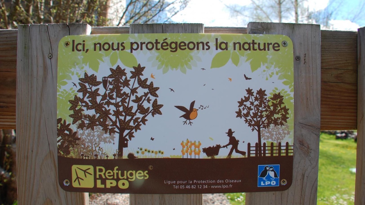 Photo of Outdoor in Saint-Romain