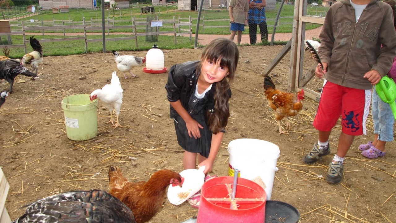 Photo of Outdoor in Montpeyroux