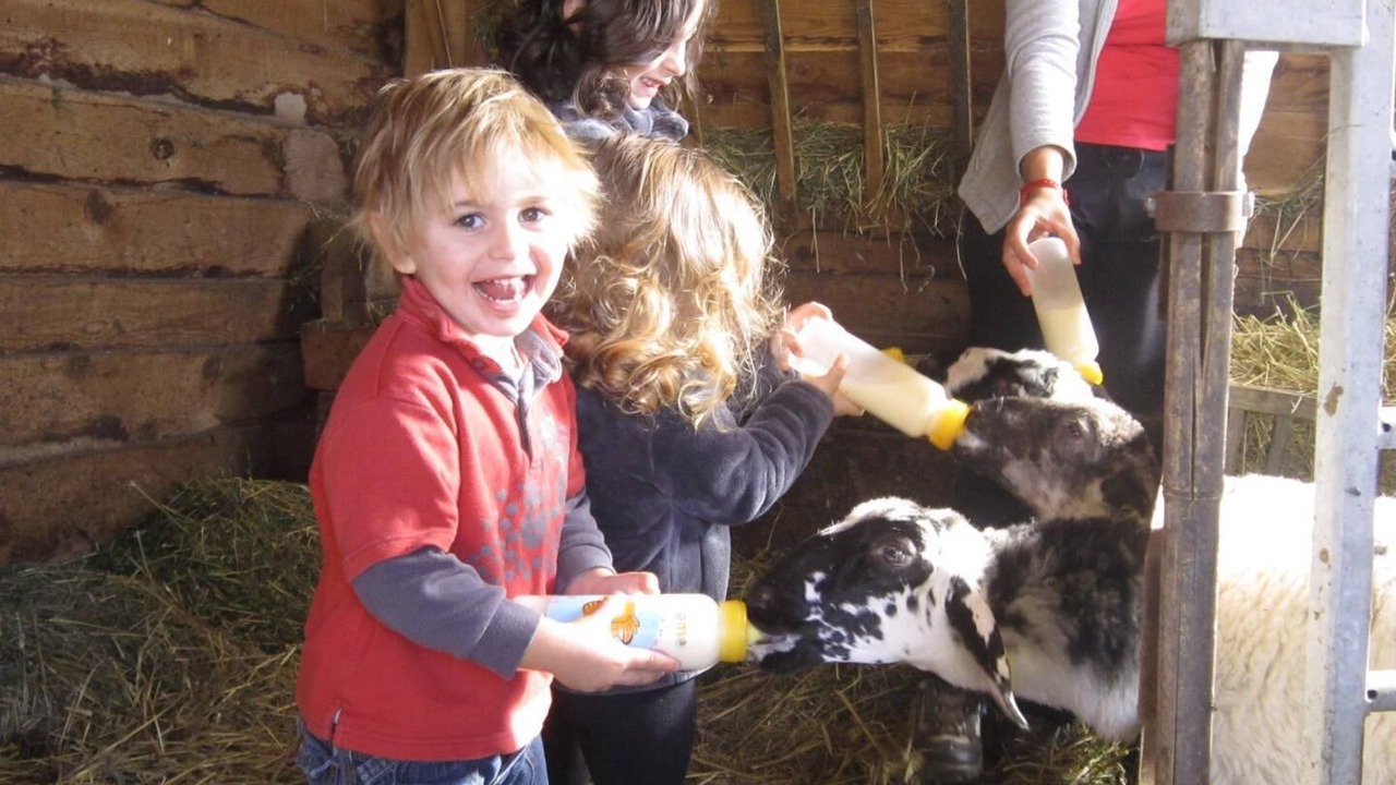 Photo of Others in Montpeyroux